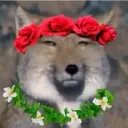 piked_lynx