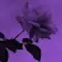 Lolz profile picture for @Severe