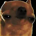 Lolz profile picture for @irvin