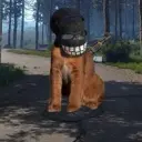 xomyakgleboss