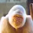 keisirok