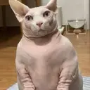 NeLWin
