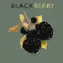 BlackBerry_inactive5158951