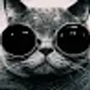 Lolz profile picture for @Ldlf