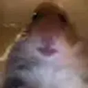 qwertyqazaq