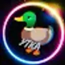 Duck_38