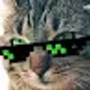 Lolz profile picture for @lans