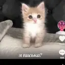 id590304180