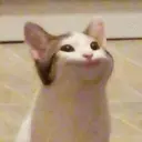 Кофта