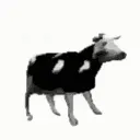 Bionukl