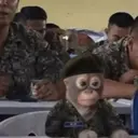lolkek5557
