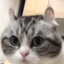 Ka6aH
