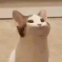 cppdev