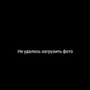 GeorgyK