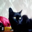 timurzakharov4