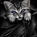 Evil9n