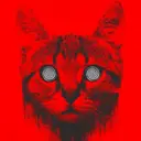 Lolz profile picture for @Katz