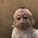 da_nilka