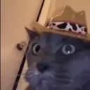 desiper