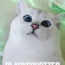 Blacksquatter