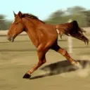 IvanSnake