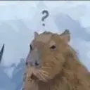 clipfailer