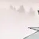 Холодок_inactive3369775