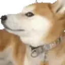 vaycher