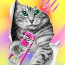 HotCat