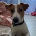 Sannanelor