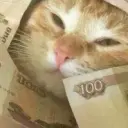 hiahiahia