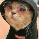 vkhomutov2020