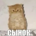 NetNNdA
