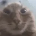 liquvert