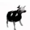 PolishCow