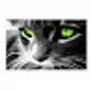 Lolz profile picture for @SeReGa