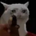 johnappleseeed