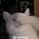DiAnik