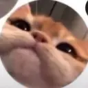 ya_i_ti_korol