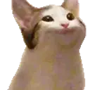 SergioPallina