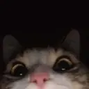 Легитов