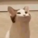 Froktis