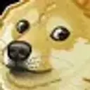 Doge8956