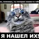xovyfifyfr