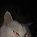 nikickiyyy24372