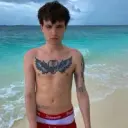 artikul