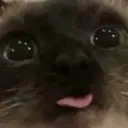 Саппорт