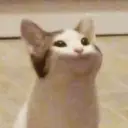 Leetoi