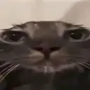 karambatant