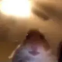 vladd1sk1